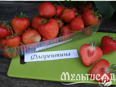 image_7681564_15015474