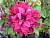 image_7681564_14979108