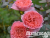image_8165532_16152349 image_8165532_16152349