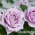 9gubtl9uxs4uj42u4omm3d37u5cqi40e 9gubtl9uxs4uj42u4omm3d37u5cqi40e