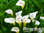 image_8096768_16085149
