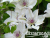 image_7681564_14978400
