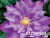 image_7681564_14979908