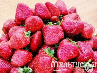 image_7681564_15012250