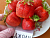 image_7681564_15010358