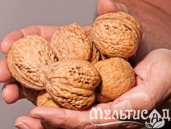 Дизайн без названия (3)