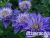 image_7681564_14978600