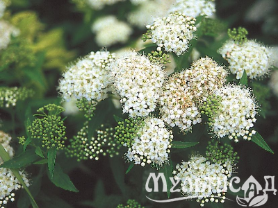 image_8165532_16178014