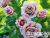 image_6893795_13531693 image_6893795_13531693