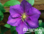 image_7681564_14949309 image_7681564_14949309
