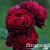15479d44d9ef0f235ef0972fcabec2bb