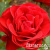 716123330821fd049dcb2d3e26c725f4