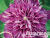 image_7681564_14949655 image_7681564_14949655