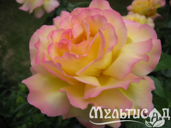 120aq231ehuige4mxa52uszpbc3k63bz