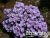 image_8165532_16178375