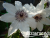 image_7681564_14978384