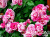 371eabf919dbaf020571dfc9f0cefa4d