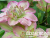 image_7681564_14978884 image_7681564_14978884