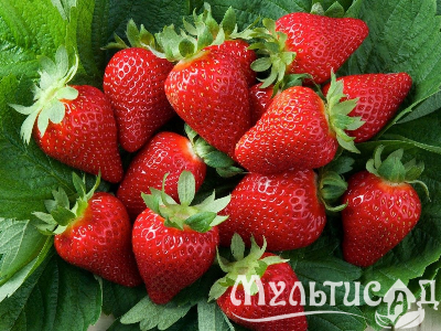 image_7681564_15014704