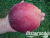 image_8255520_16476942