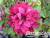 image_7681564_14979108