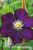 2412a8d1f1a55b19024fe8dfcbecf17b 2412a8d1f1a55b19024fe8dfcbecf17b