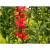 0a2d7939f4eda0025d54b38a02b777ae