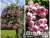 image_6895822_13384445